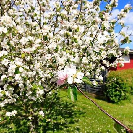 4 Person Holiday Home In Otterup Torreso Bagian luar foto